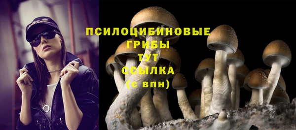 шишки Киреевск