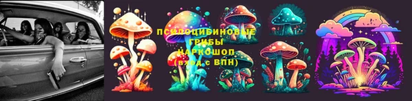 стаф Киренск