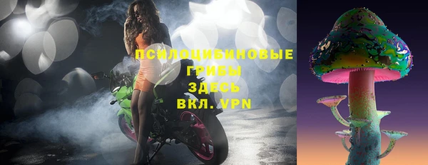шишки Киреевск