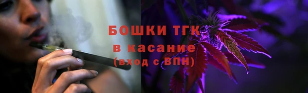 шишки Киреевск