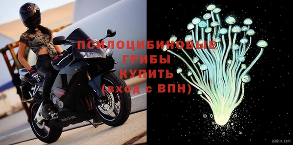 стаф Киренск