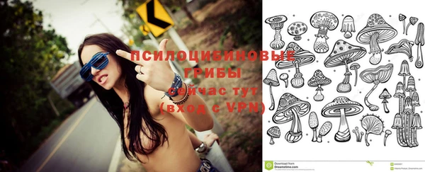 шишки Киреевск