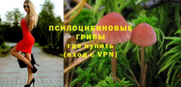 шишки Киреевск