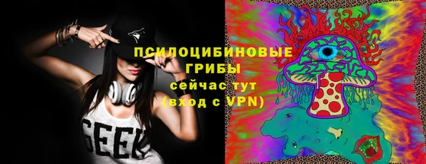 шишки Киреевск