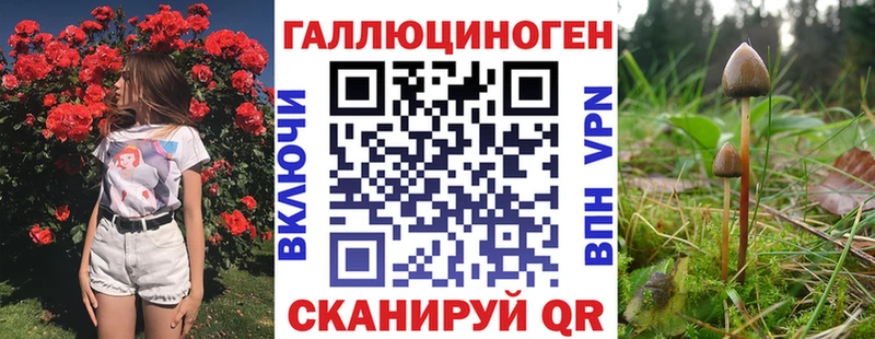Купить закладки  Красный Холм  Галлюциногенные грибы Psilocybine cubensis 