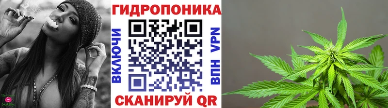 Марихуана конопля Купить где Красный Холм